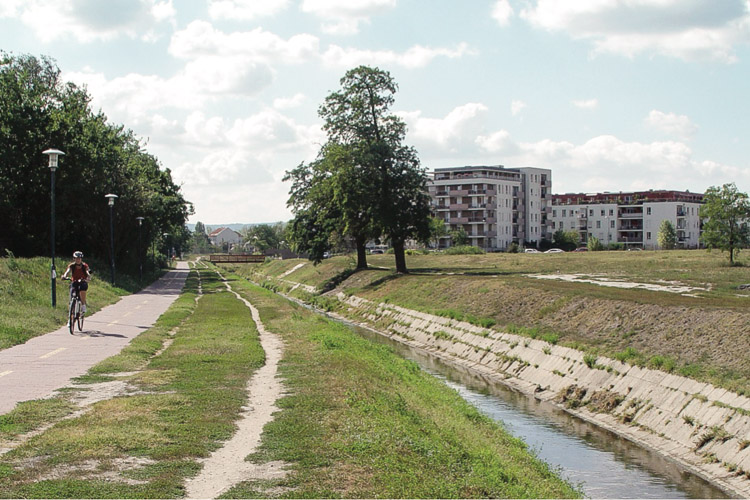 bicycle road of the study site