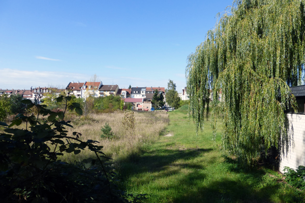 View from Katharinenstrasse