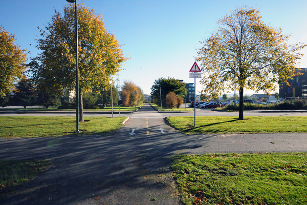 A patchwork of car and bike lanes stretches across the Forus plane / © 