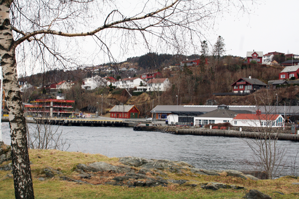 View of site from park