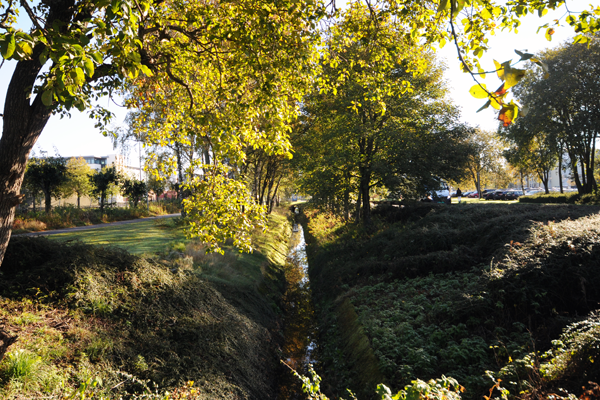 Close to water. A system of canals across Forus regulates the water levels