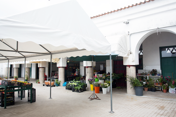 Interior view of the market