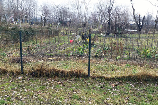 Site 3 ‐ community gardens