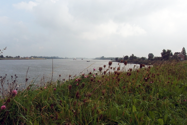 View over the river Lek